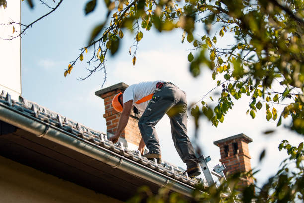 Best Commercial Roofing Services  in Buena Vista, GA