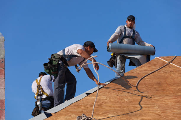 Best Residential Roofing Contractor  in Buena Vista, GA